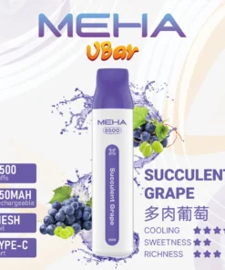魅嗨8500口拋棄式電子煙-多肉葡萄